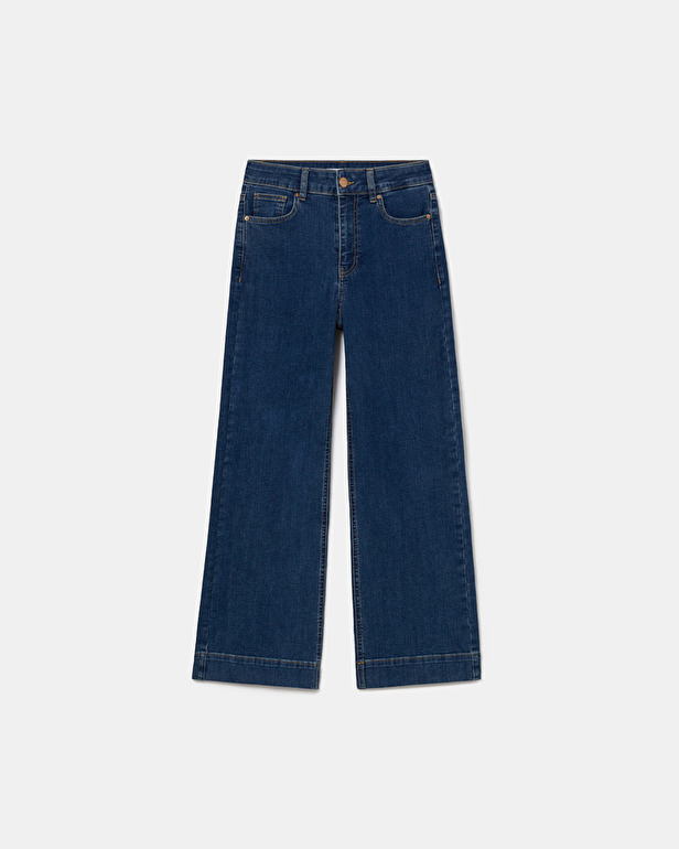 Jean Jani Stone flare jeans ZAPA