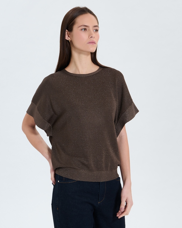 Pradel sweater Taupe sweater ZAPA
