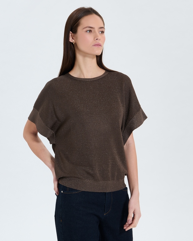 Pradel sweater Taupe sweater ZAPA