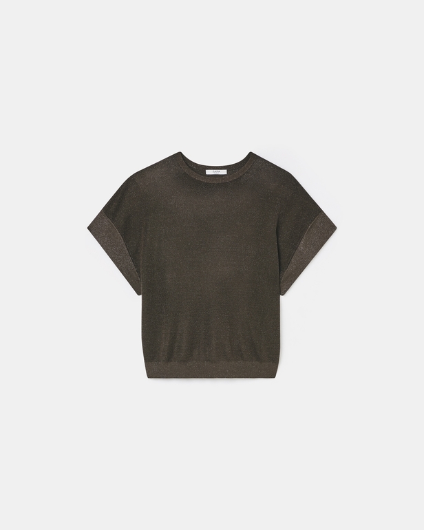 Pradel sweater Taupe sweater ZAPA